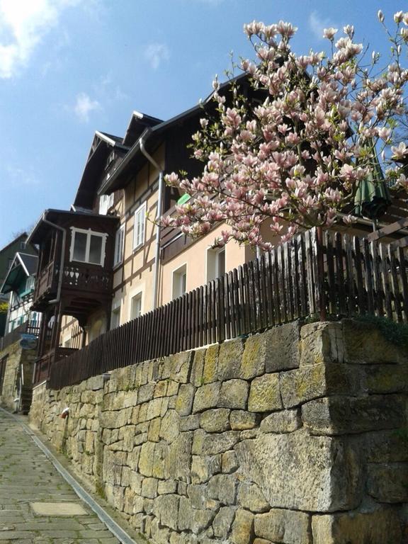 Wehlener Landhaus In Stadt Wehlen, Saechsische Schweiz Екстериор снимка